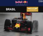 Макс Ферстаппен, третье место в Гран-при Бразилии 2016 года с его Red Bull, получая седьмой подиум своей карьеры в F1